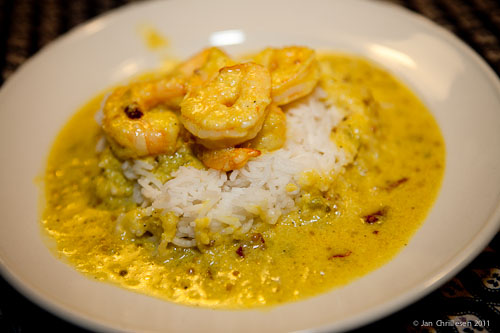 _MG_2536 Bengali reje curry